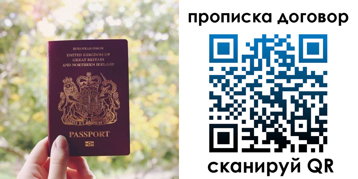 прописка поиск в Светлом